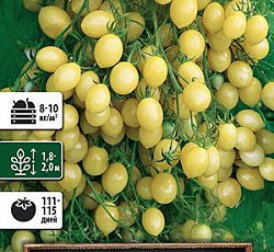 Томат Сумасшедшие вишни Барри