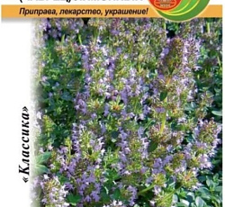 Тимьян (чабрец) Лимонный