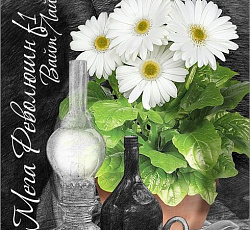 Гербера горшечная Мега Революшн F1 Вайт Лайт Ай