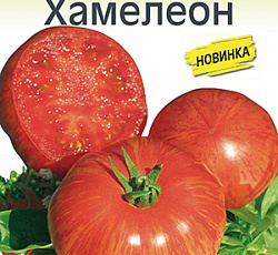 Томат Хамелеон