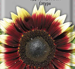 Подсолнечник Сатурн