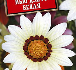 Гацания Нью Дэй F1 Белая