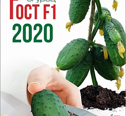 Огурец Гост F1