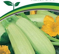Кабачок Хьюго F1 (цуккини)