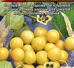 Физалис Золотая россыпь (земляничный)