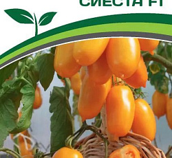 Томат Сиеста F1