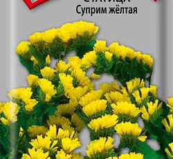 Статица Суприм желтая