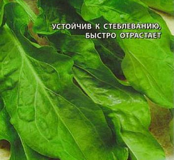 Щавель Изумрудный снег