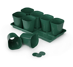 Набор для рассады (8 стаканов 0,8л с поддоном)