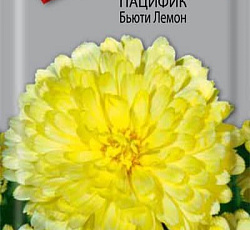 Календула пацифик Бьюти лемон