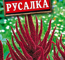 Амарант Русалка