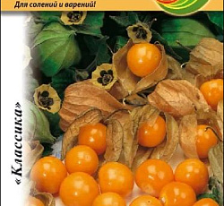 Физалис Десертный