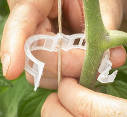 Клипсы для подвязки растений, 50 шт