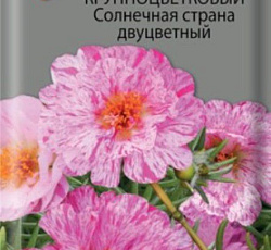 Портулак крупноцветковый Солнечная страна (двуцветный)