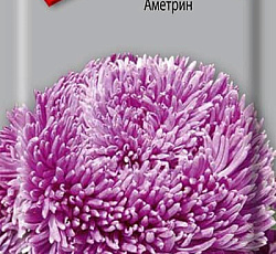 Астра Ювел Аметрин