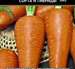 Морковь Шантенэ Королевская