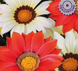 Газания Загадка