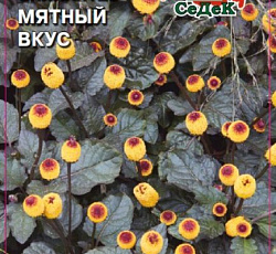 Спилантес Мятный вкус