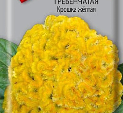 Целозия Гребенчатая Крошка желтая