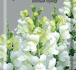 Львиный зев (Антирринум) Белый букет