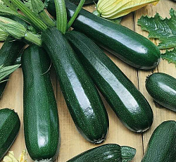 Кабачок Диамант F1 (цуккини)