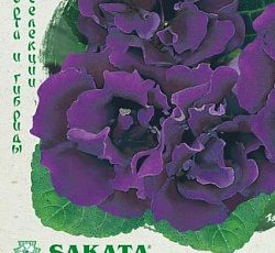 Глоксиния Брокада синяя F1