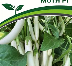 Баклажан Мотя F1