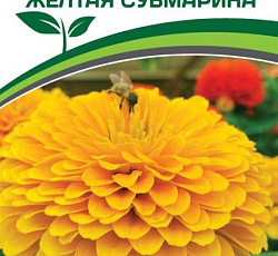 Цинния георгиновидная "Сочные тропики" F1 Желтая Субмарина
