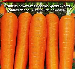 Морковь Барыня