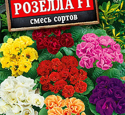Примула бесстебельная Розелла F1 (смесь окрасок)