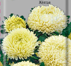 Астра Балун Желтая