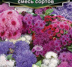 Агератум букетный Торжество (смесь сортов)