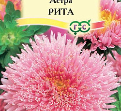Астра Принцесса Рита