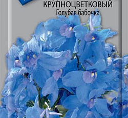 Дельфиниум крупноцветковый Голубая бабочка