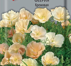 Эшшольция феерия Кремовая