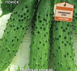 Огурец Эстафета F1
