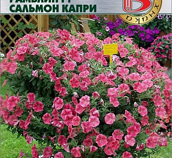 Петуния каскадная Рамблин F1 Сальмон Капри