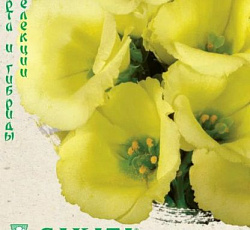 Эустома (лизиантус) Фламенко желтая F1