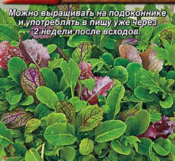 Бэби салат Пак чой смесь