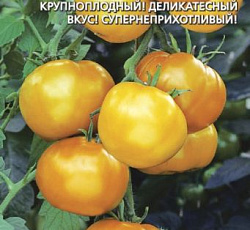 Томат Микадо золотой