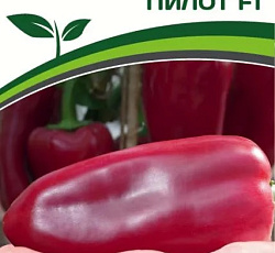 Перец сладкий Пилот F1