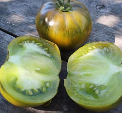 Томат Лягушка-Царевна