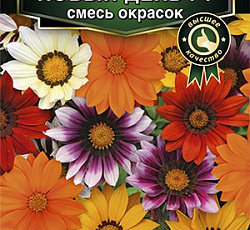 Гацания Новый день F1 (смесь окрасок)