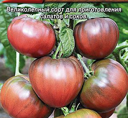 Томат Южный вечер