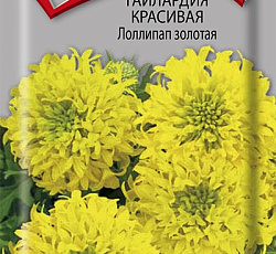 Гайлардия красивая Лоллипап золотая