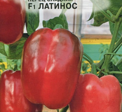Перец сладкий Латинос F1