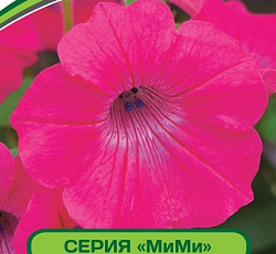 Петуния МиМи Жаклин F1 многоцветковая каскадная