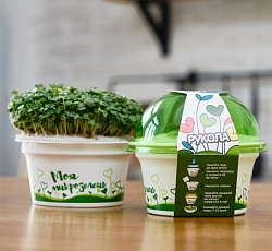 Набор для выращивания "Моя микрозелень" - РУККОЛА