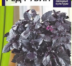 Базилик Ред Рубин