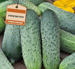 Огурец Иван-Царевич F1